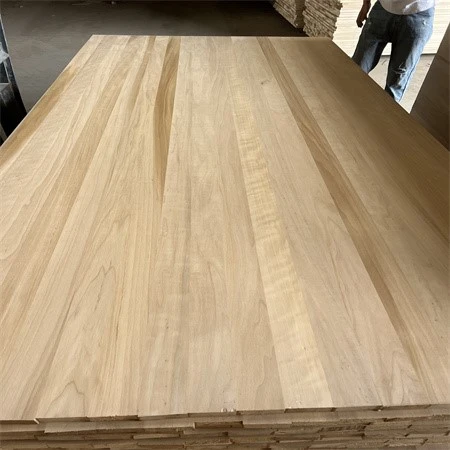 product-450-450